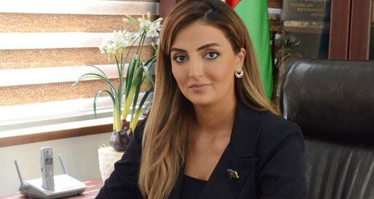 «Мир и стабильность – приоритет для Азербайджана» - Депутат