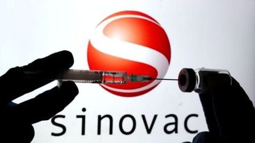“Sinovac” vaksininin 97 faizə qədər effektivliyi sübut olunub