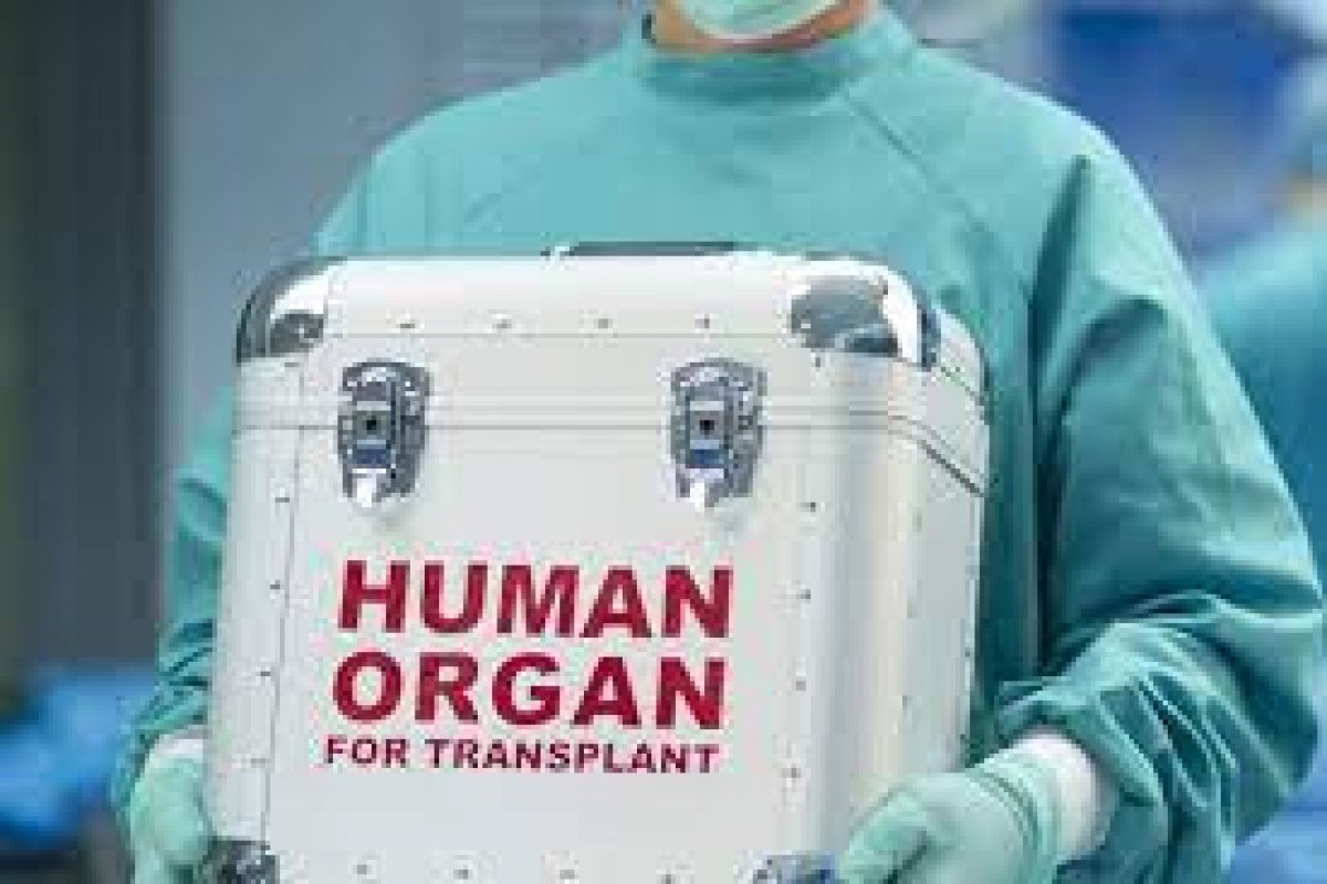 Xəstəxanalarda transplantasiya üzrə koordinatora dair tələblər müəyyənləşib
