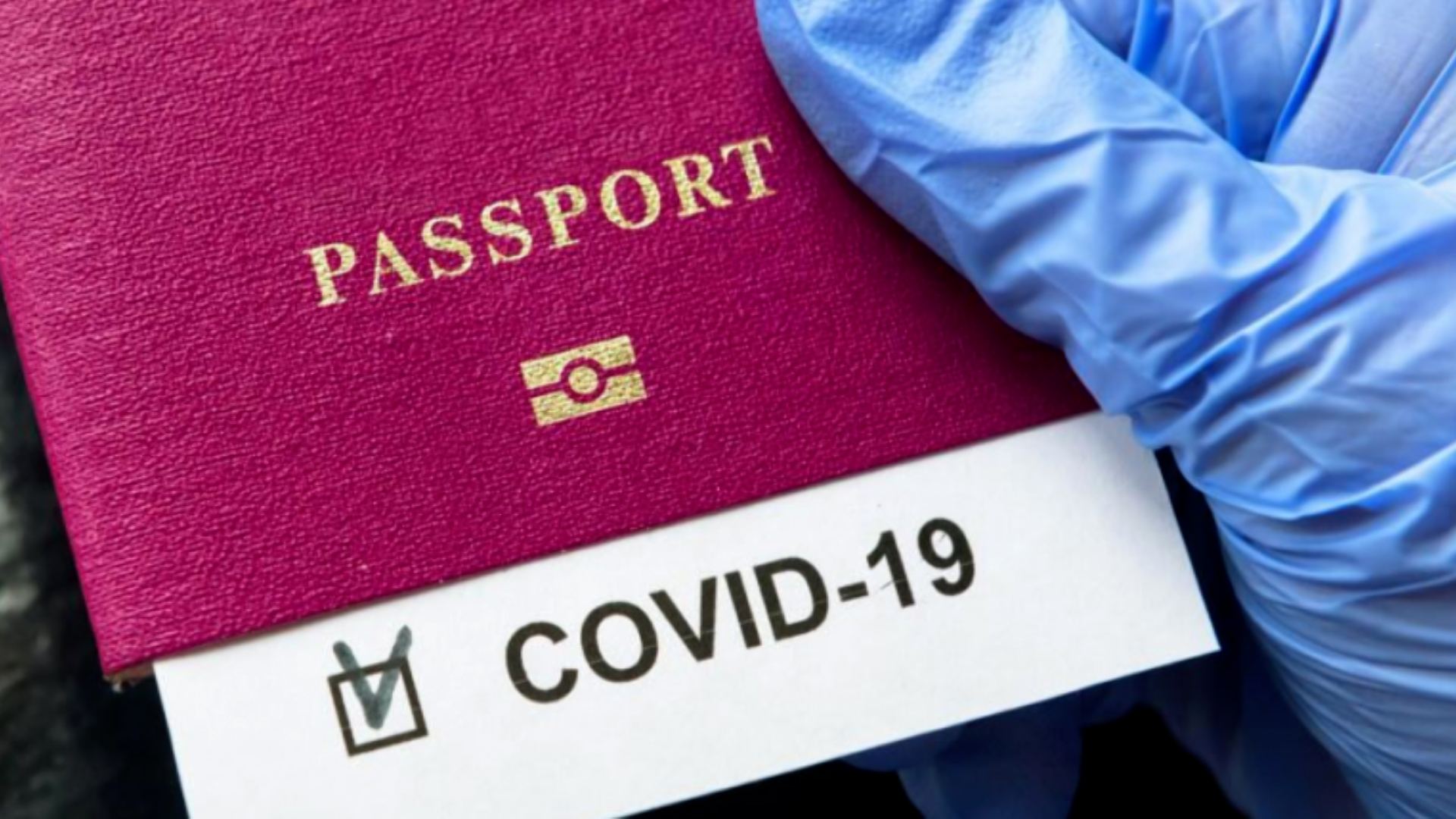 Saxta COVİD-19 pasportu verən şəxsə qarşı cinayət işi başlandı