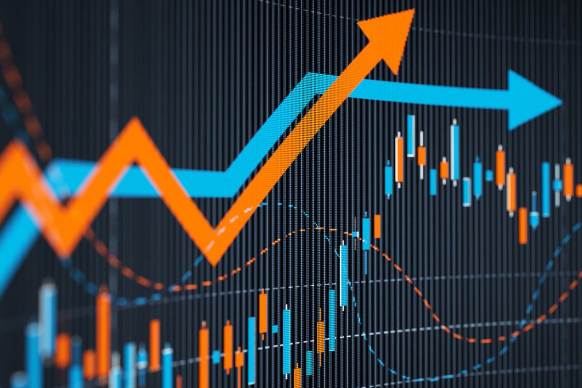 Naxçıvan iqtisadiyyatına investisiya qoyuluşu 1,2% artıb