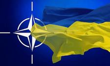 “Ukrayna NATO-nun, daha doğrusu, ABŞ-ın nəzarətindədir”