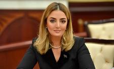 «Призыв к единству в ЕС» - Депутат