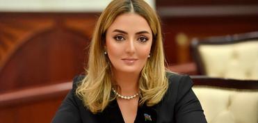 «Призыв к единству в ЕС» - Депутат