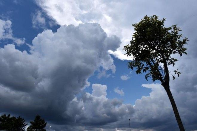 Sabah hava küləkli olacaq, temperatur 18 dərəcəyədək yüksələcək