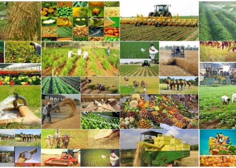 Kənd təsərrüfatı məhsullarımızın ixracı üçün Rusiya ən böyük ənənəvi bazardır