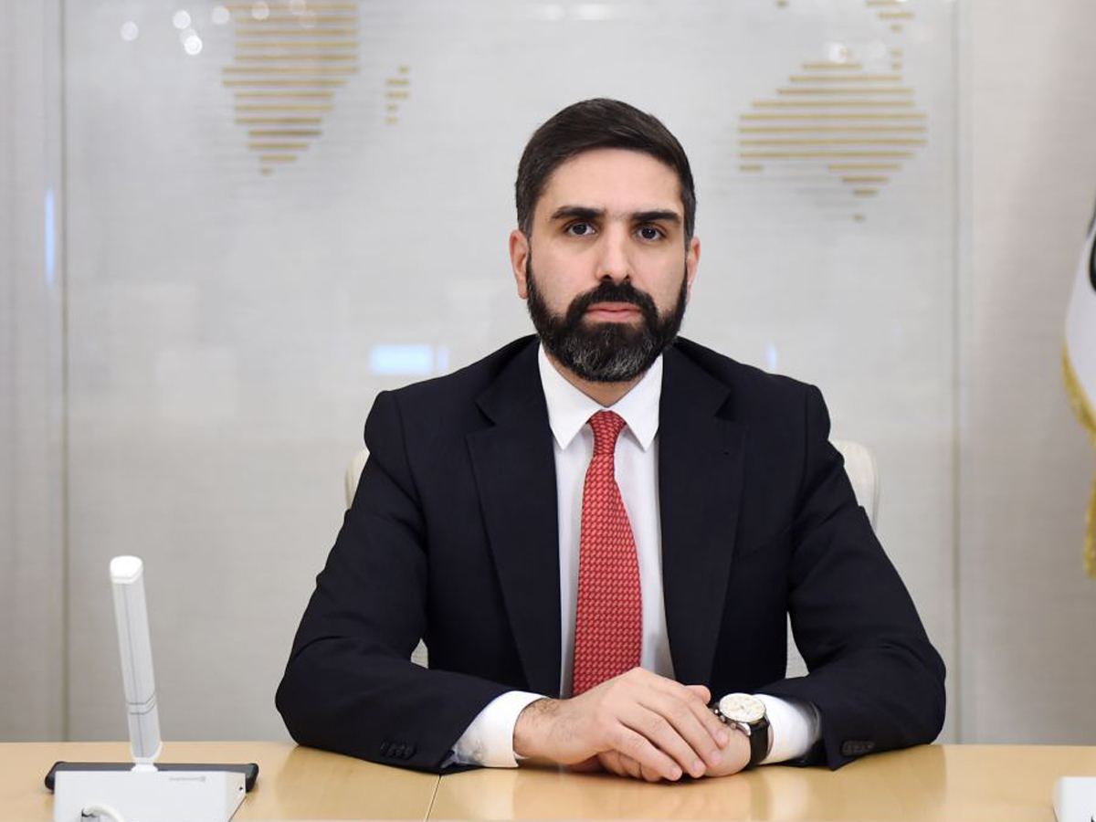 Azərbaycanda Avropanın tələbatını ödəmək üçün kifayət qədər qaz ehtiyatı var - Rövşən Nəcəf