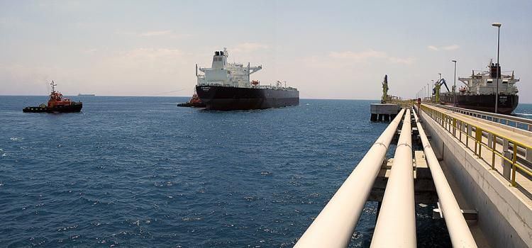 Yanvar-may aylarında Türkiyə limanları 30 milyondan çox neft məhsulu qəbul edib