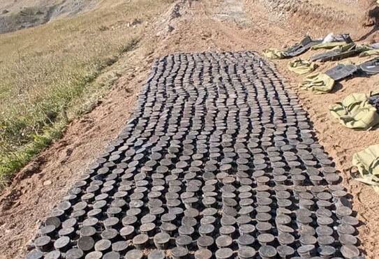 Laçında qanunsuz erməni silahlı dəstələrinin basdırdığı mina sahəsi aşkar edilib - MN - FOTO