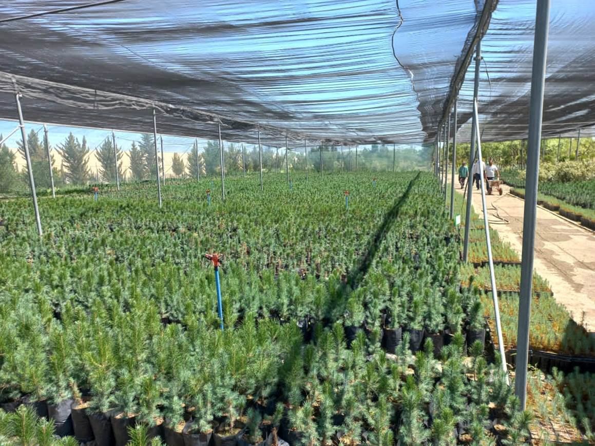 «В Азербайджане создана система оповещения об атмосферных явлениях»