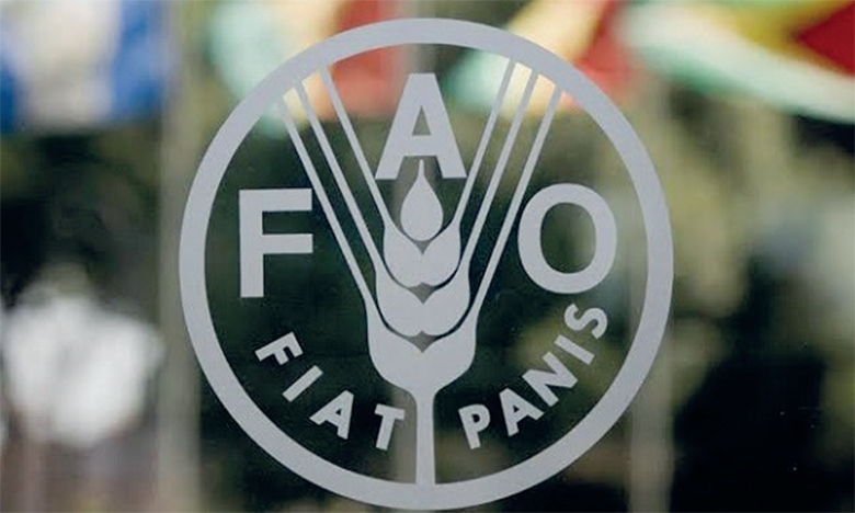 FAO tezliklə Azərbaycanda tərəfdaşlıq proqramının yeni mərhələsini elan edəcək