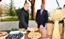 Prezident İlham Əliyev “Şəki-Oğuz” Aqroparkında yaradılan şəraitlə tanış olub -   YENİLƏNİB