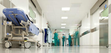 Ucarda vəhşi heyvan sakinlərə hücum edib, 3 nəfər xəsarət alıb