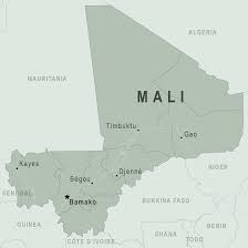 “Yeni konstitusiya layihəsi üzrə referendum "bir qədər təxirə salınacaq"- Mali hökumət sözçüsü