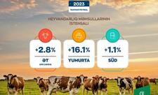 Azərbaycanda ət və yumurta istehsalı artıb