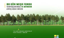 Bu gün meşə fondu torpaqlarında 14 mindən artıq ağac əkilib