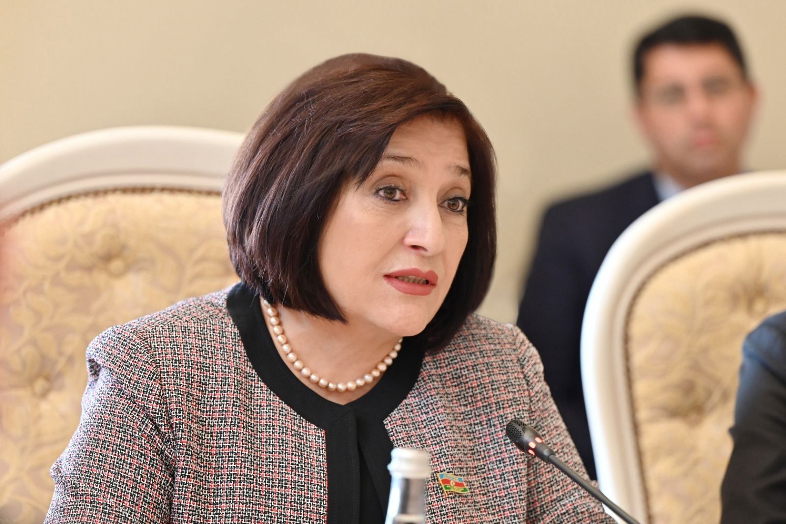 Гафарова встретилась с Аракчи