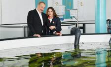 Neftçalanın Yenikənd kəndində “Azerbaijan Fish Farm” MMC-nin Nərə Damazlıq Təsərrüfatında yaradılan şəraitlə tanışlıq - YENİLƏNİB