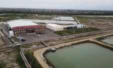 Neftçalanın Yenikənd kəndində “Azerbaijan Fish Farm” MMC-nin Nərə Damazlıq Təsərrüfatında yaradılan şəraitlə tanışlıq - YENİLƏNİB