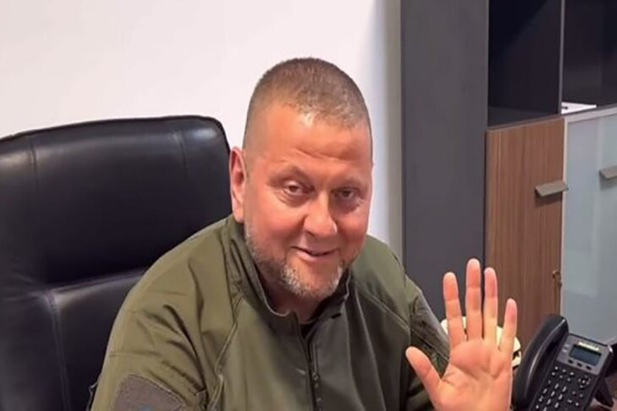 Rusiya DİN Zalujnı barəsində axtarış elan edib