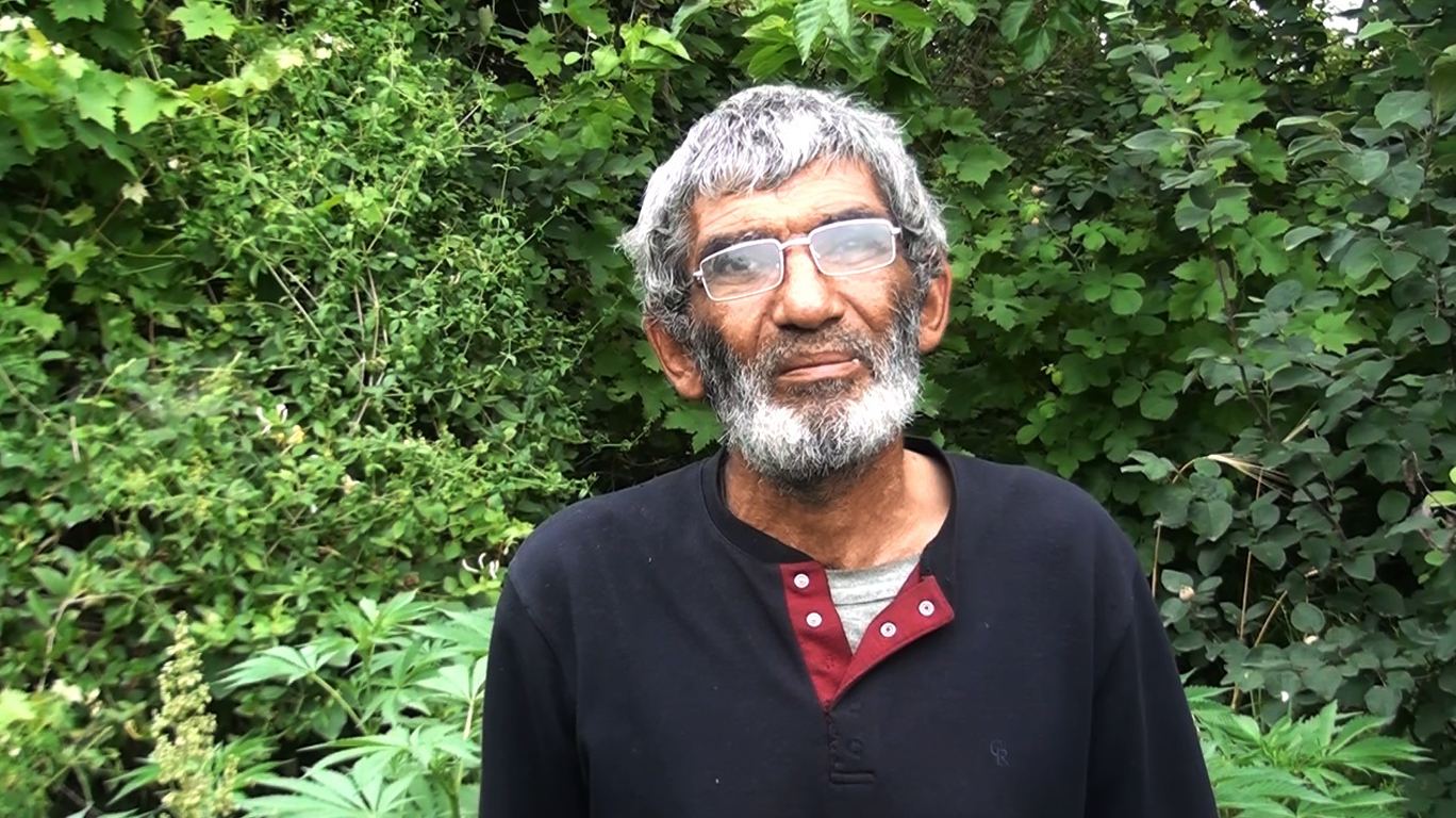 Neftçalada narkotik tərkibli bitkilər yetişdiriən şəxs saxlanılıb - FOTO