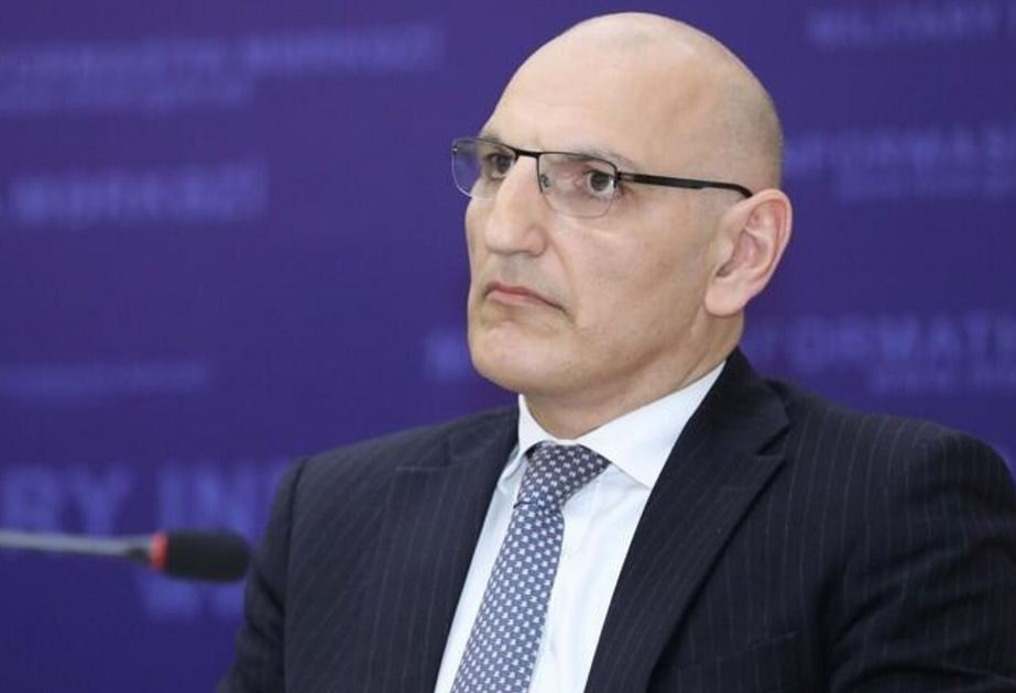 Qarabağın erməni sakinləri elektrik enerjisi və istiliklə təmin ediləcəklər - Elçin Əmirbəyov
