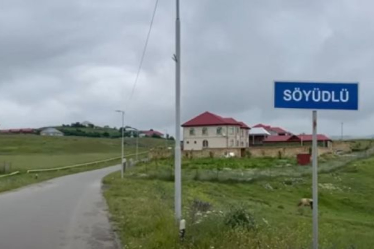 Söyüdlüdə zavod ərazisində üç müşahidə quyusunun suyunda kiçik miqdarda sianid qeydə alınıb