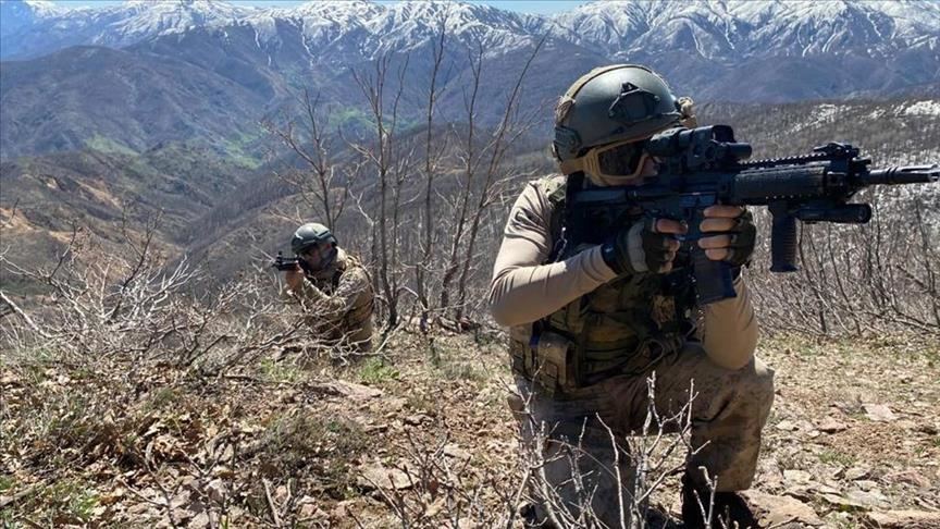 Türkiyənin cənub-şərqində xüsusilə təhlükəli terrorçular zərərsizləşdirilib