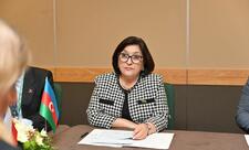 Milli Məclisin sədri Ukrayna Ali Radasının sədri ilə görüşüb