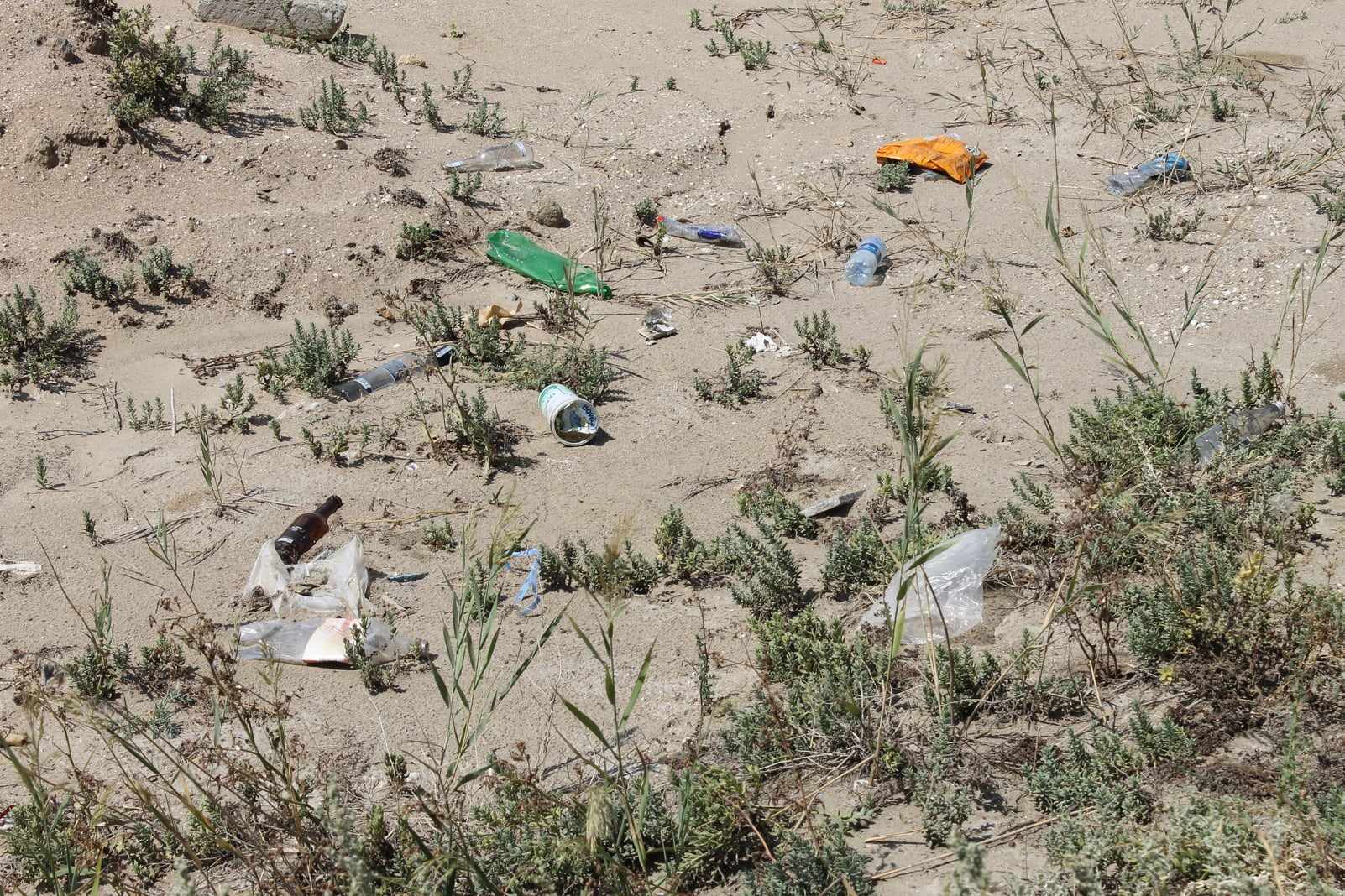 Xəzərin Lənkəran və Astara sahillərində çirklənmələr