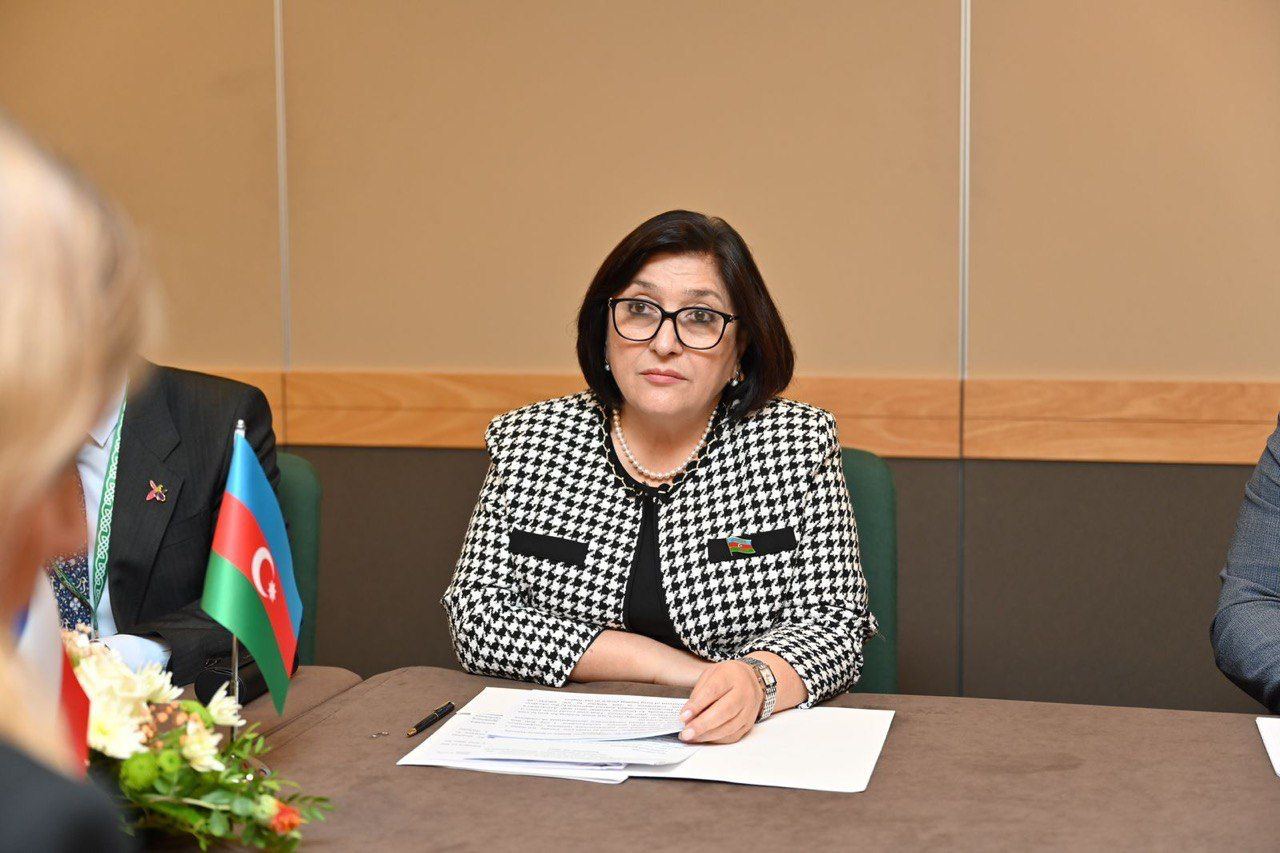 Milli Məclisin sədri Ukrayna Ali Radasının sədri ilə görüşüb