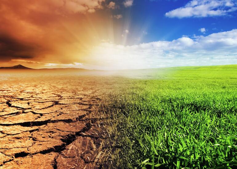 İqlim dəyişikliyi aqrar sektorda yeni prioritetlər müəyyənləşdirir