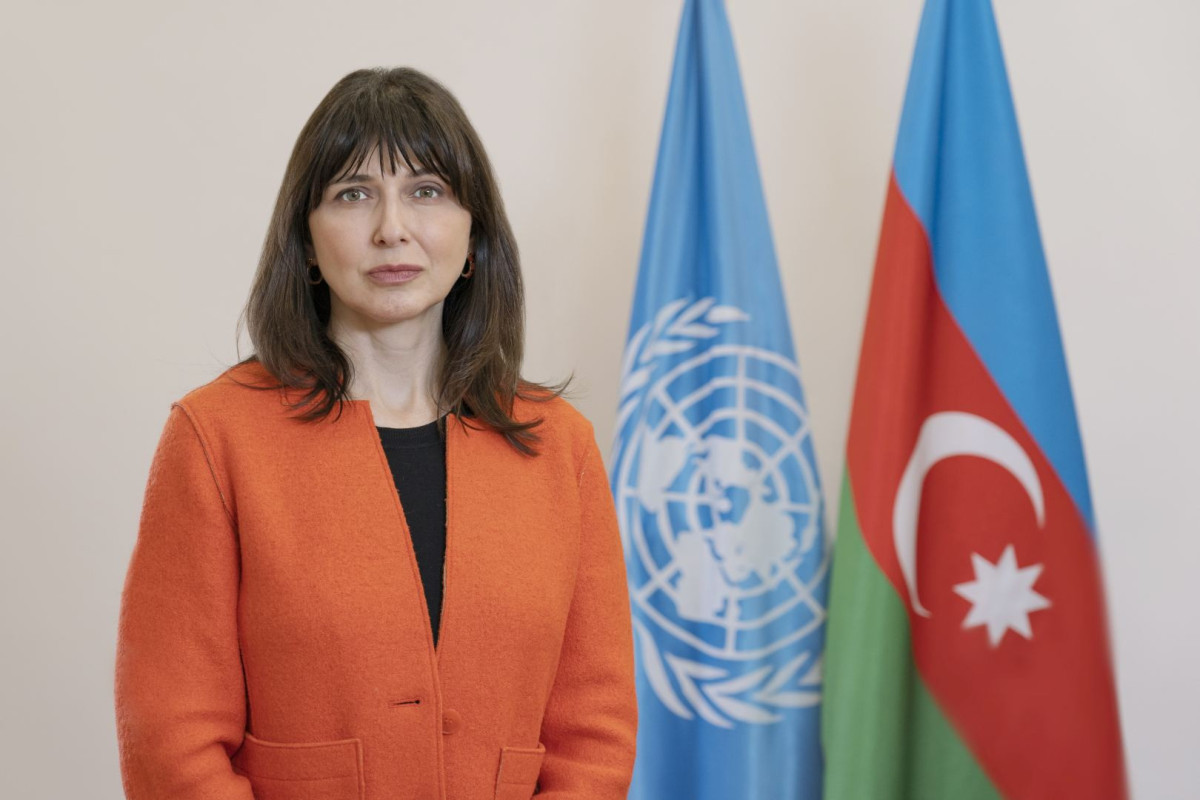 Vladanka Andreeva: Azərbaycanda 1991-ci ildən indiyə qədər 3460 nəfər mina qurbanı olub