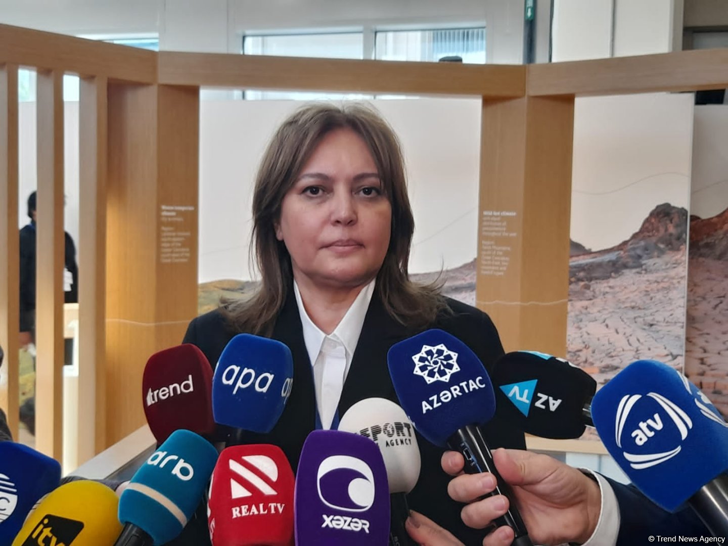 Azərbaycan yaşıllaşdırma fəaliyyətinə görə regionun lideridir - Umayra Tağıyeva