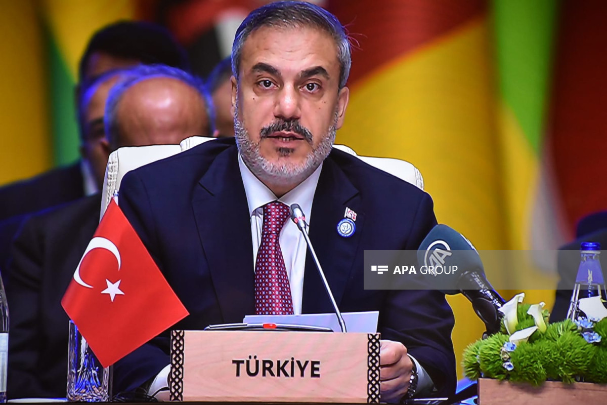 Hakan Fidan Azərbaycana gəlir
