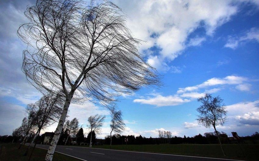 Küləkli hava şəraiti ilə bağlı sarı xəbərdarlıq...