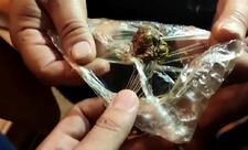 Операция в Астаре: есть задержанные - Видео