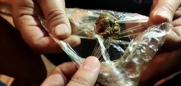 Операция в Астаре: есть задержанные - Видео