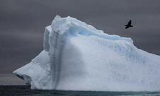 Antarktida ilk dəfə: dünya üçün təhlükə