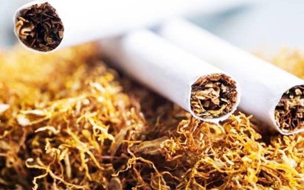 Tütün məmulatının idxalı və istehsalını həyata keçirən sahibkarların Reyestri yaradılır