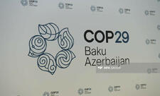 COP29 prosesində Azərbaycana dəstək üçün BMT-də xüsusi işçi qrup yaradılıb