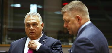 Венгрия и Словакия поддержали Грузию