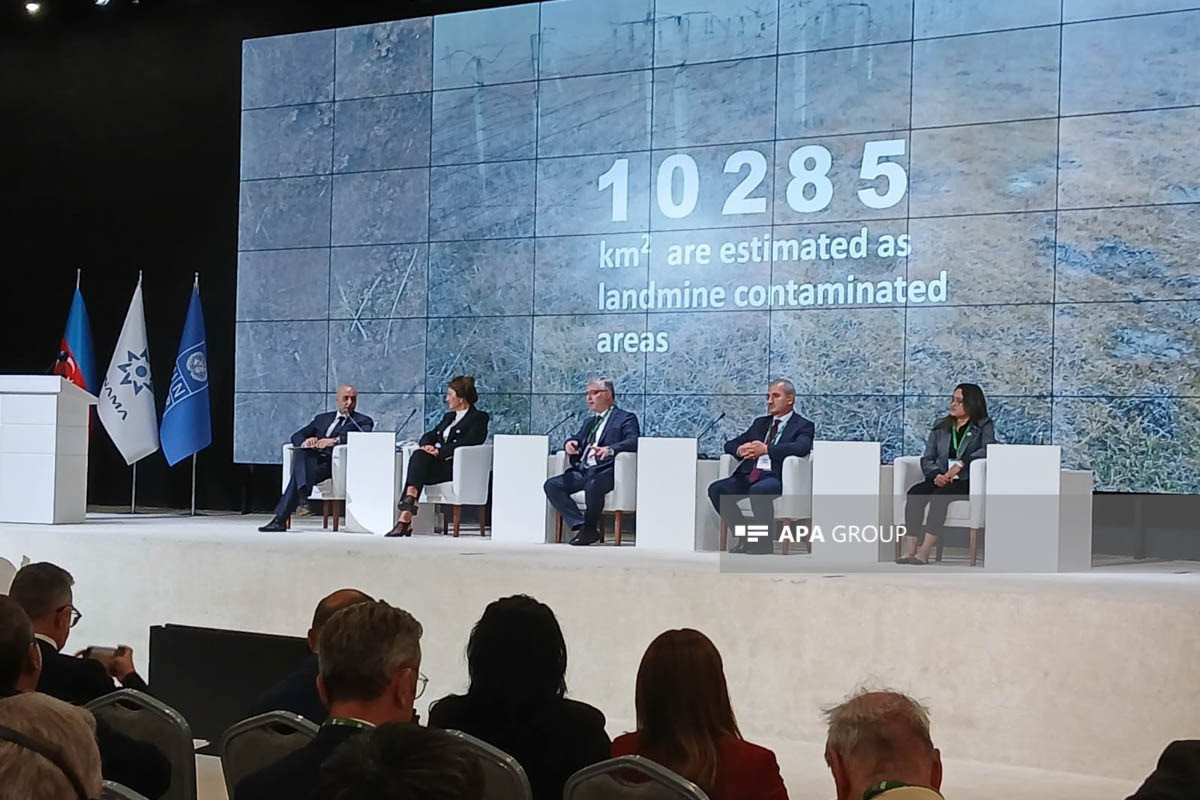 ANAMA-nın sədr müavini: Hədəfimiz hər il 65 min ha ərazini təmizləməkdir