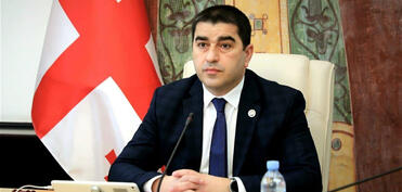 Папуашвили подписал закон об иноагентах