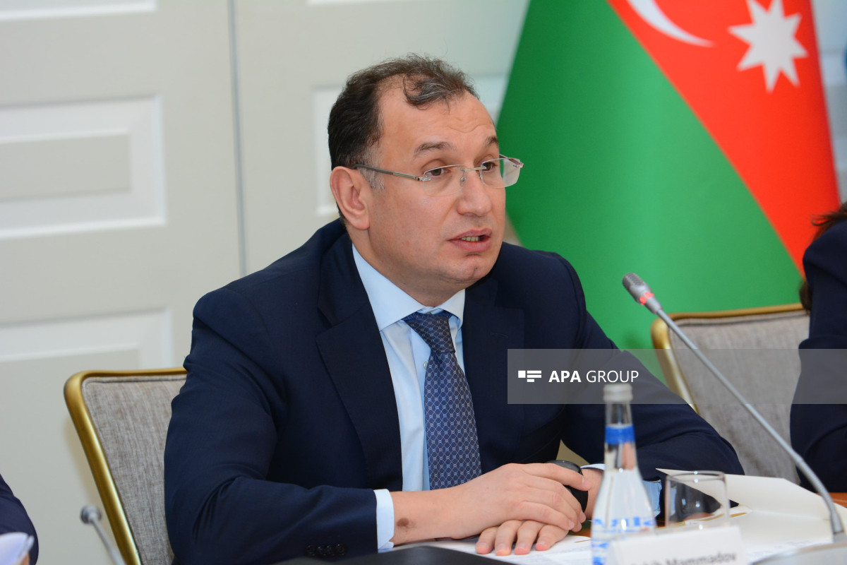 Sahib Məmmədov iqtisadiyyat nazirinin müavini vəzifəsindən ayrılıb