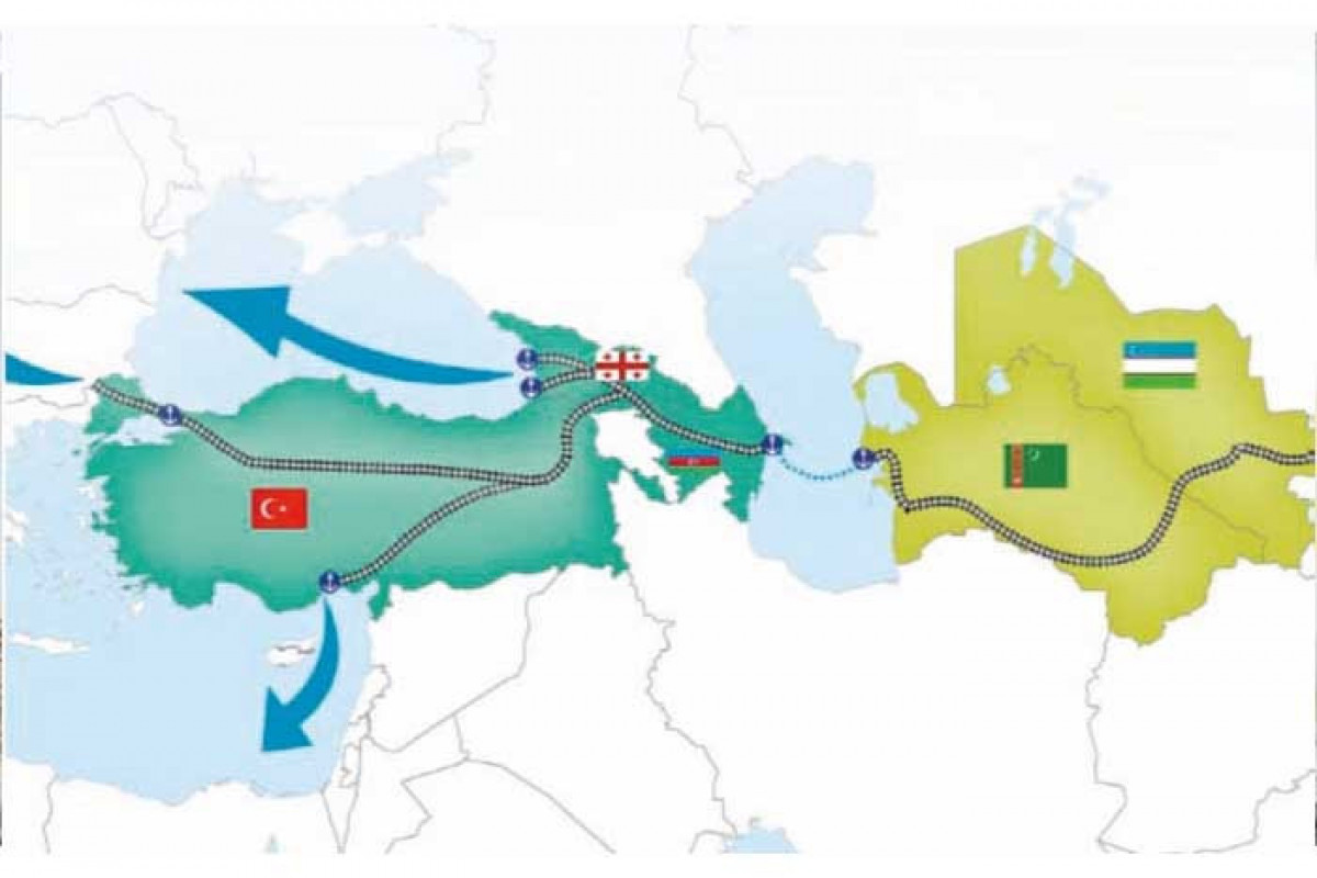 Sinqapur şirkəti: Orta dəhlizi "yaşıl yol"a çevirmək istəyirik