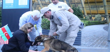 ABŞ Azərbaycana daha iki minaaxtaran it verib  - FOTO