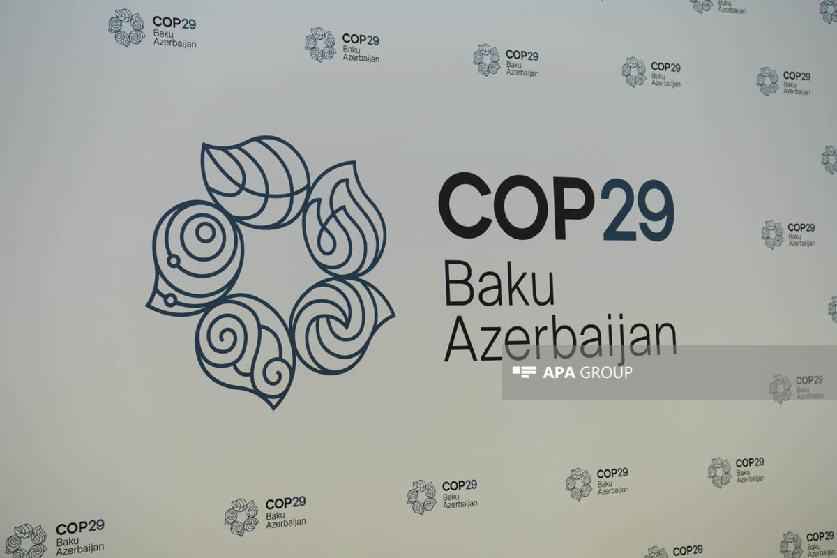 Əli Əsədov: COP29-un Azərbaycanda keçirilməsi artan beynəlxalq nüfuzumuzun bariz nümunəsidir