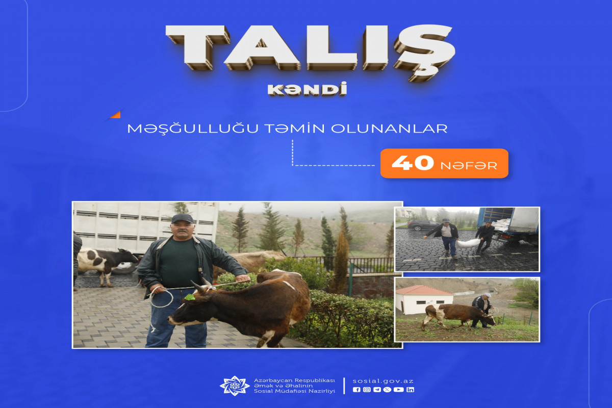 Talış kəndinə köçürülən sakinlərdən 40 nəfərin məşğulluğu təmin olunub