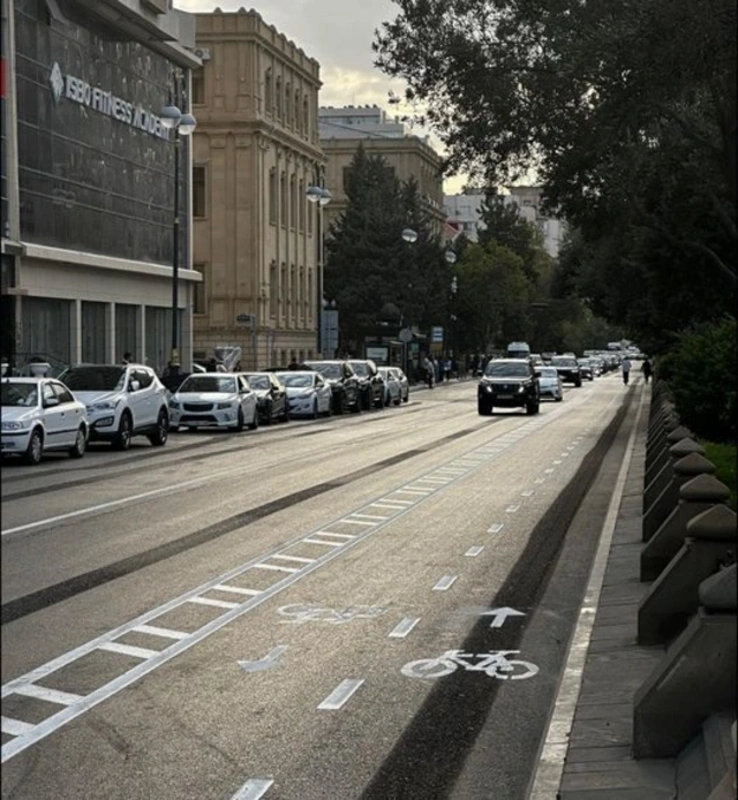 “Ancaq bu halda insanlar qısa məsafələri piyada gəzəcək”